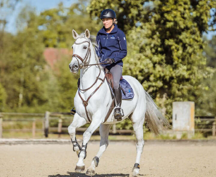 gut zu wissen muskulatur aminosaeure hoeveler